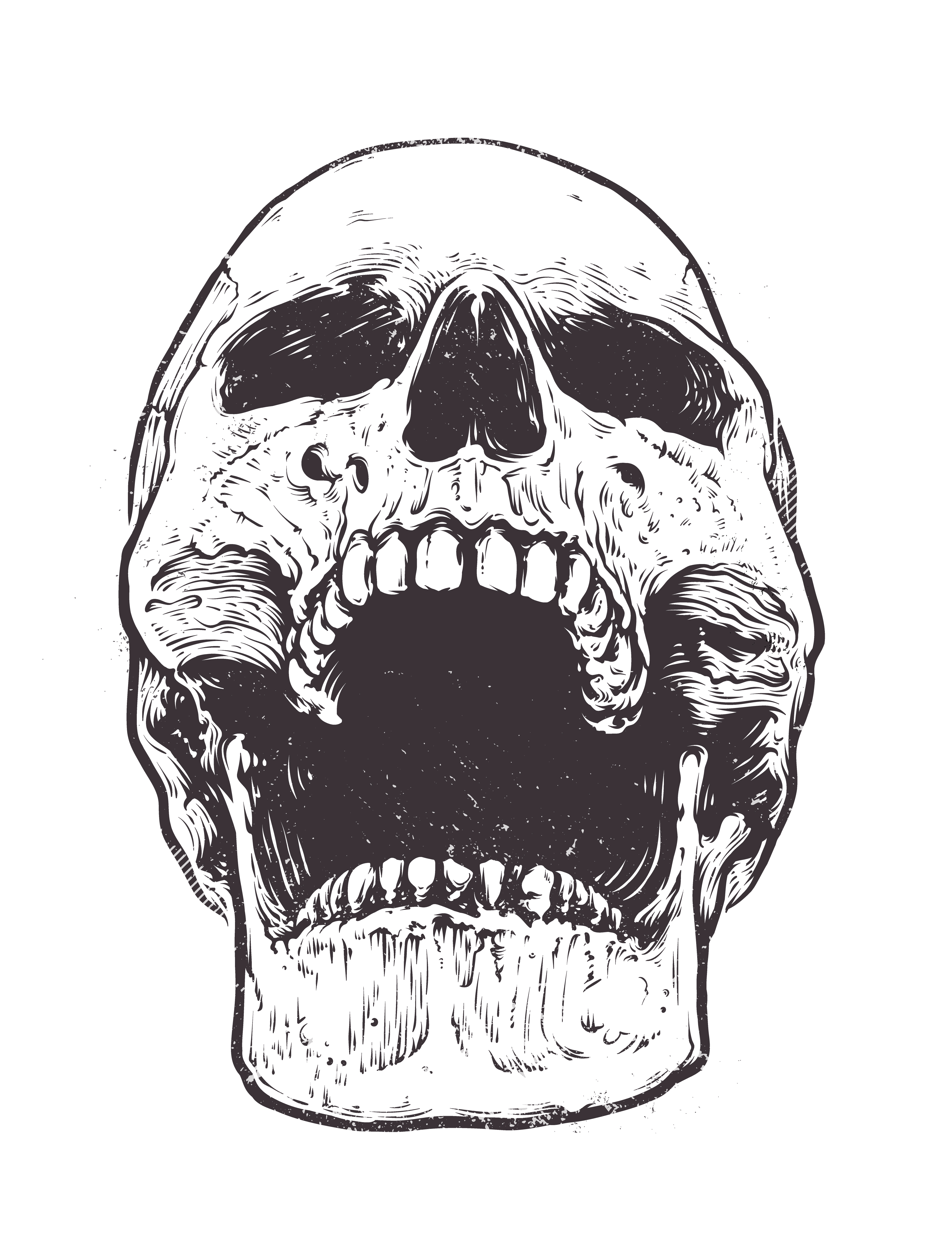 Download Anatomic Skull Vector for free.