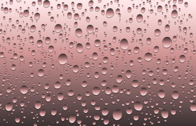 Realistic water drops on a plain glass, vector illustration