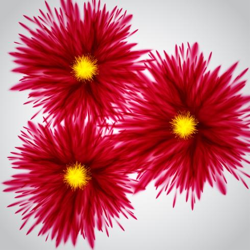 Colorful explodesflowers, vector illustration