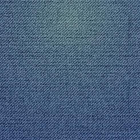 Realistic denim jeans texture, vector