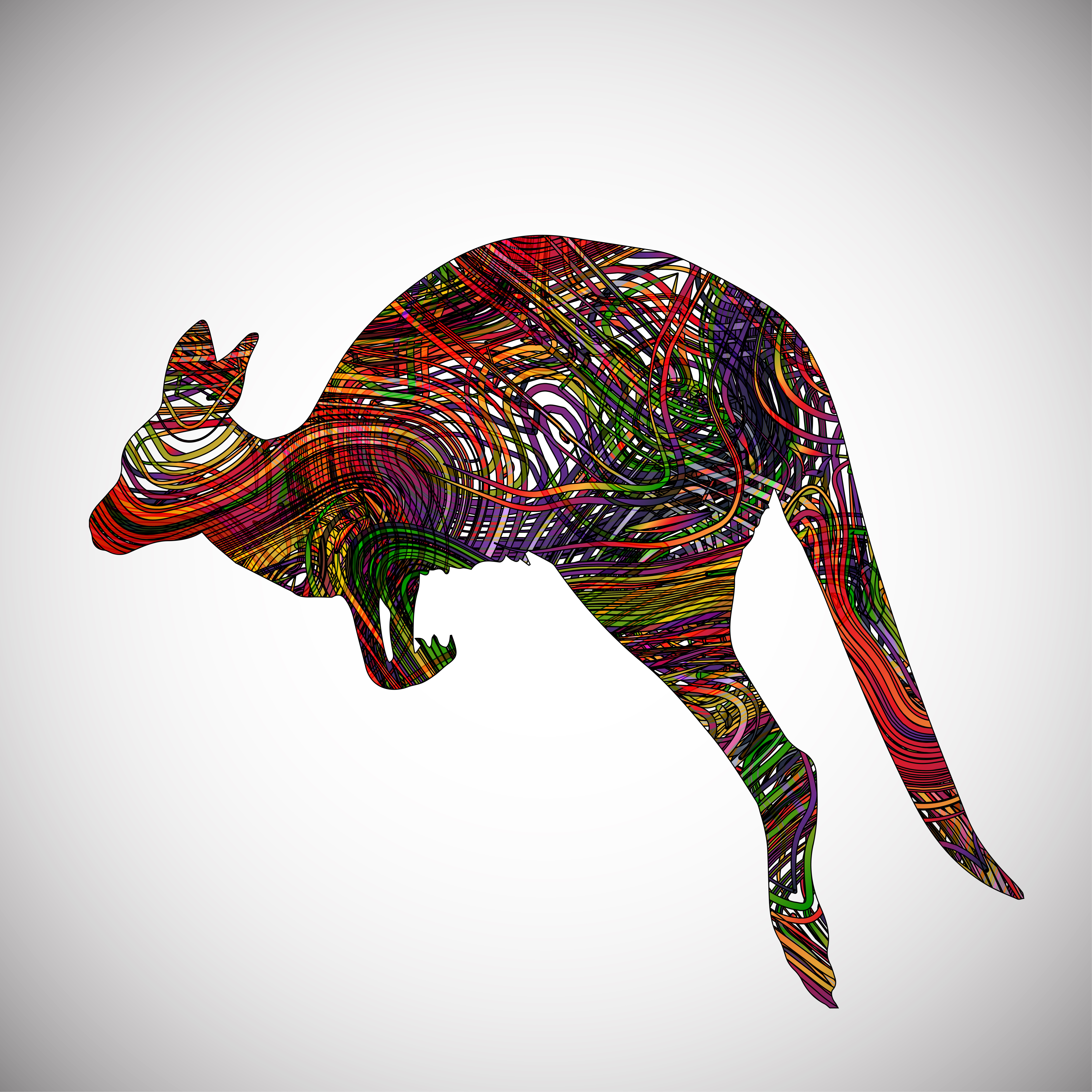 Canguru colorido feito por linhas, ilustração vetorial 