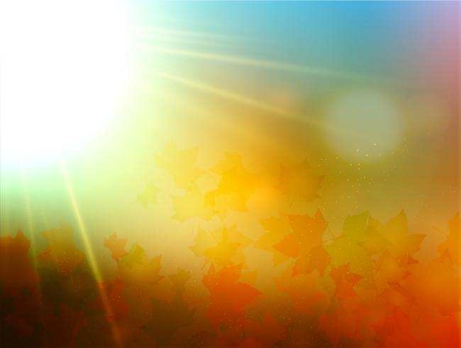 Autumn leaves with blurry backdrop, vector