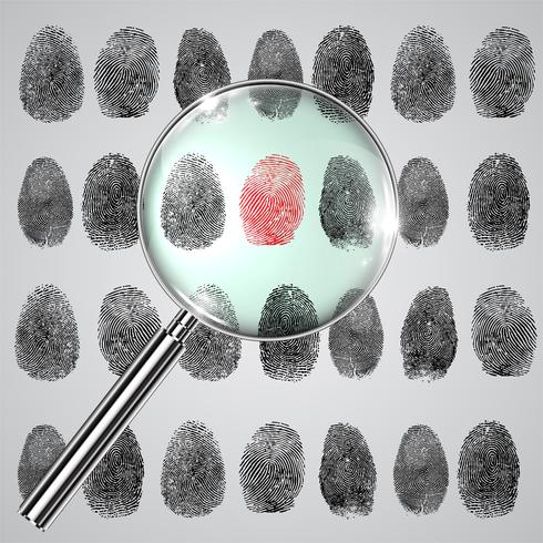 Fingerprint and a magnifier vector