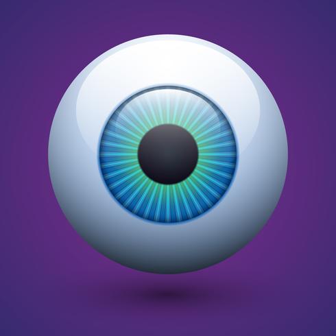 Vector Realistic Human Eyeball Illustration