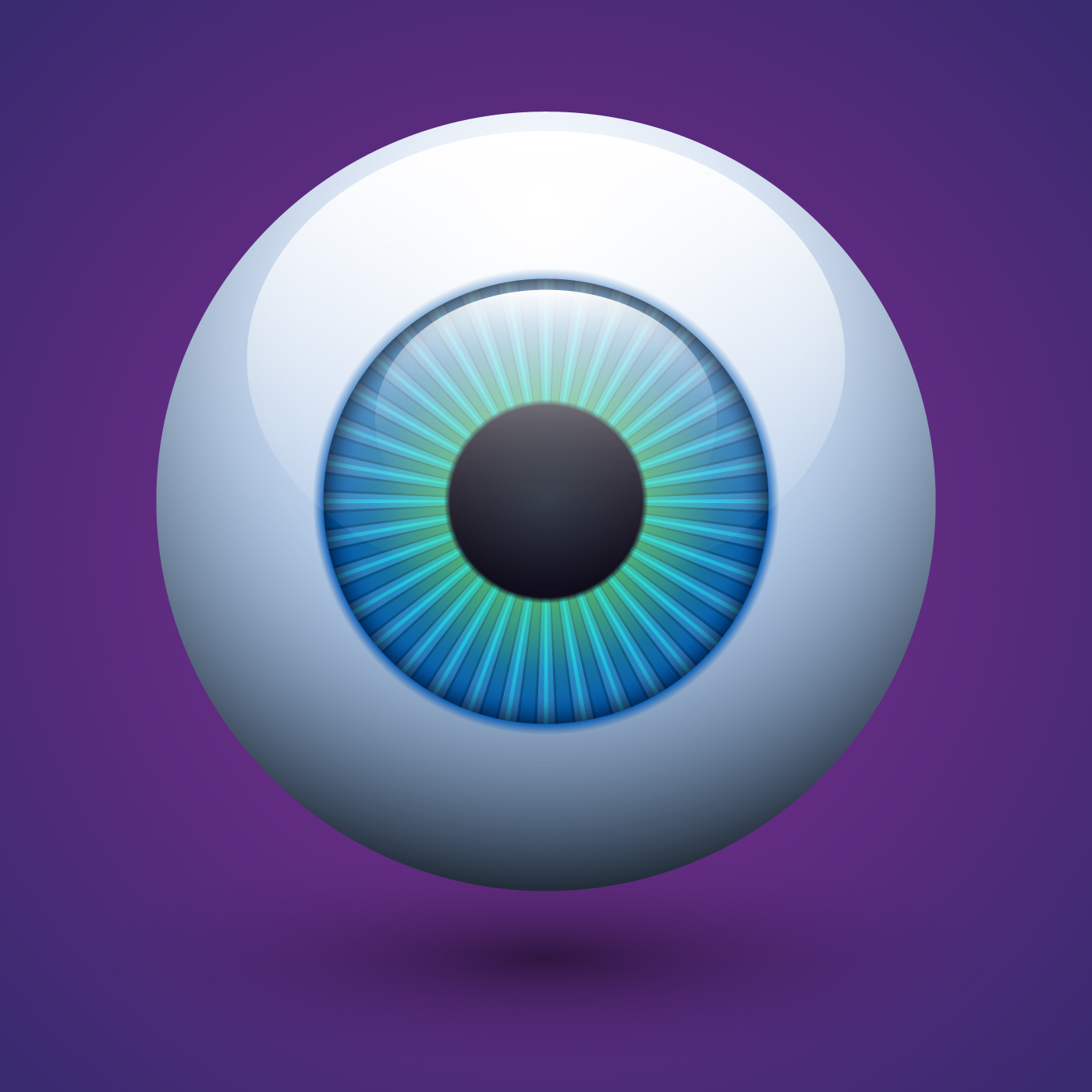 Vector Realistic Human Eyeball Illustration 321290 Vector Art at Vecteezy