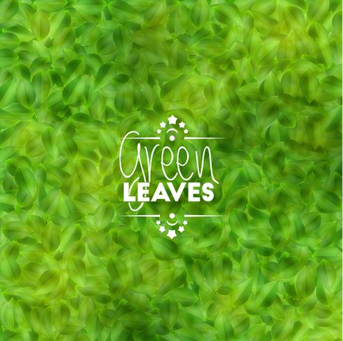 Green leaves background, vector
