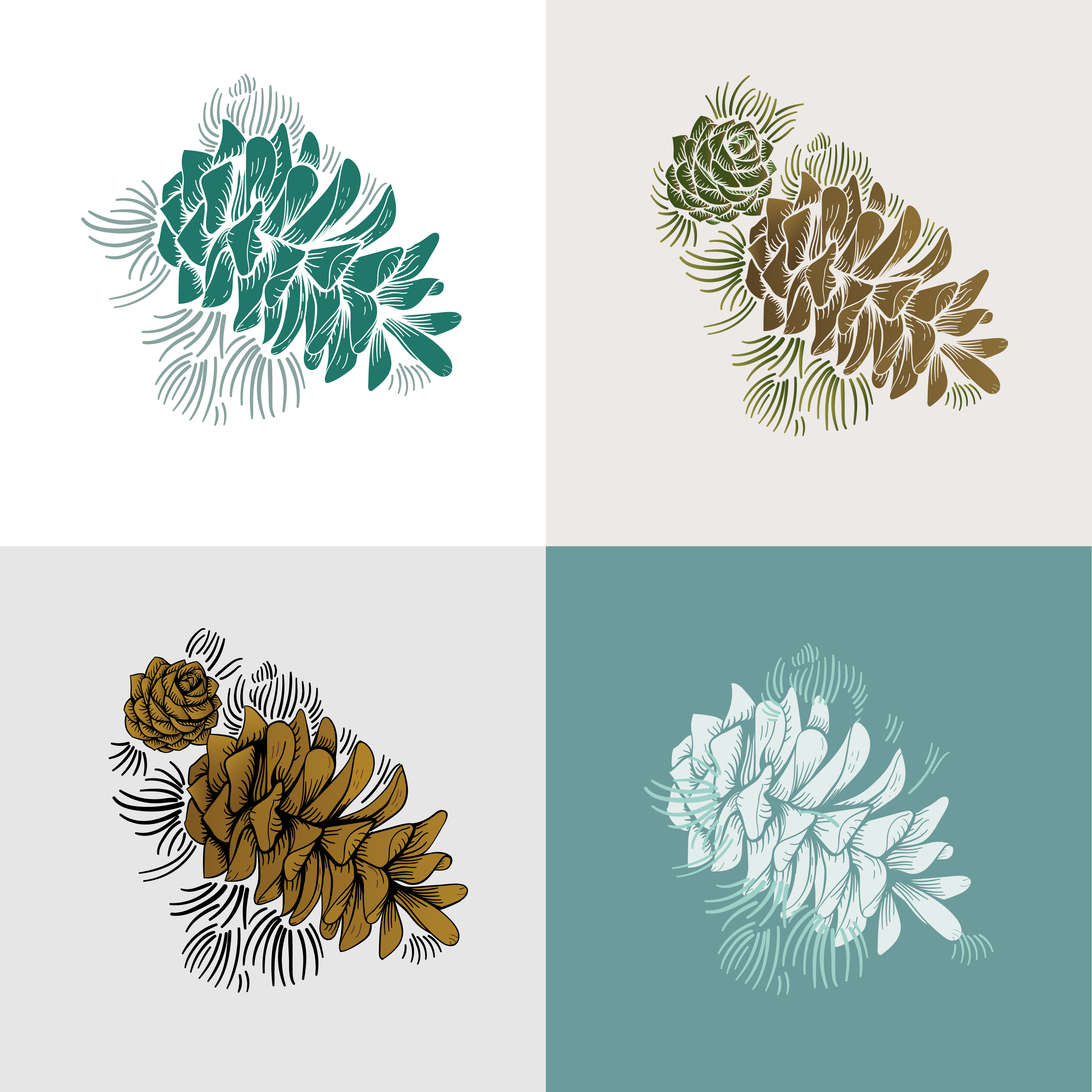 Illustration set of pine cones - Download Free Vectors, Clipart