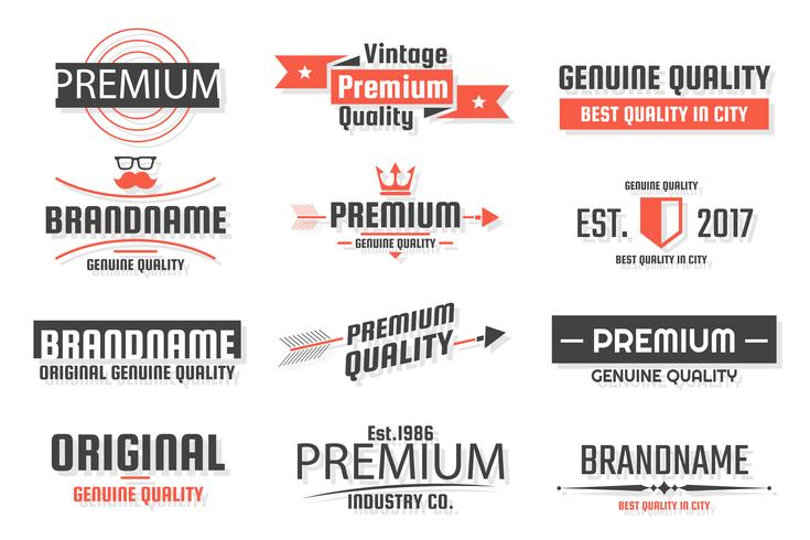 Vintage Retro Vector Logo for banner