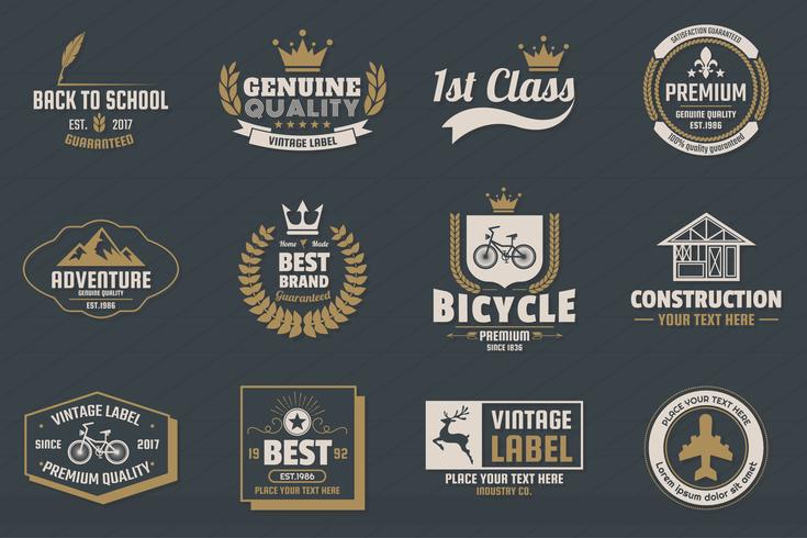 Vintage Retro Vector Logo for banner