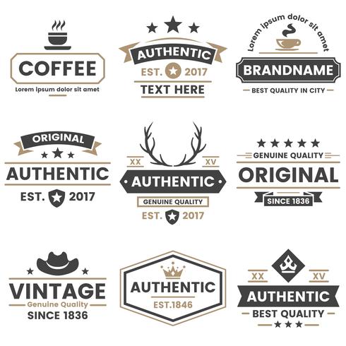 Vintage Retro Vector Logo for banner