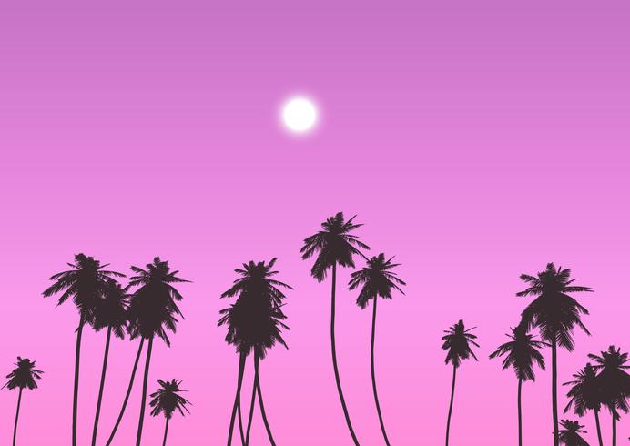 Palm trees against sunset sky  vector