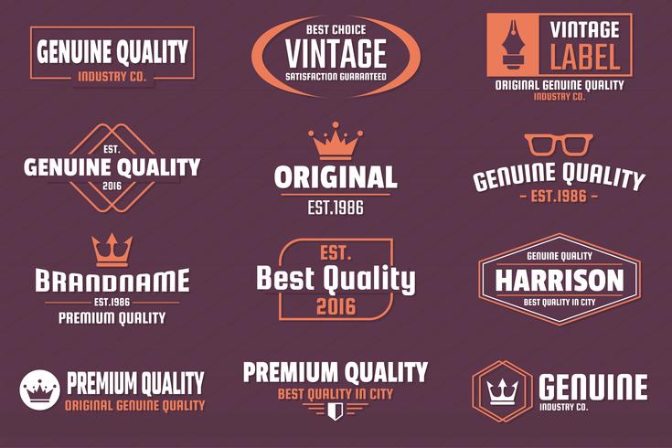 Vintage Retro Vector Logo para banner