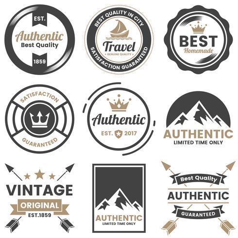 Vintage Retro Vector Logo for banner