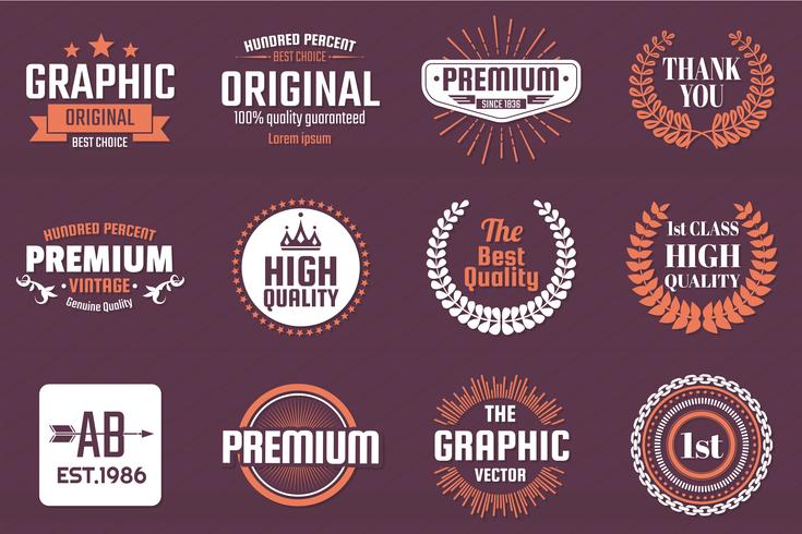 Vintage Retro Vector Logo for banner