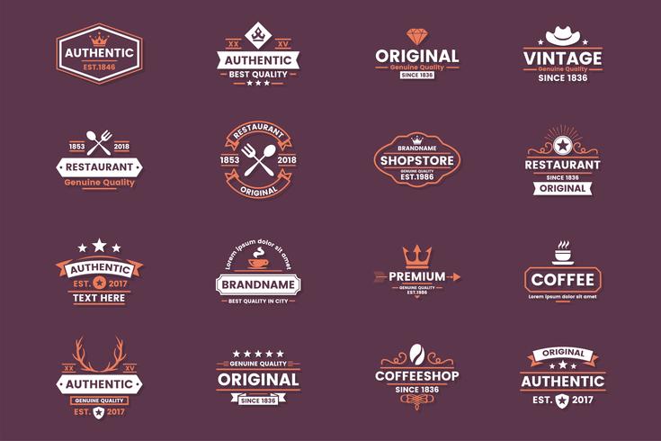 Vintage Retro Vector Logo for banner