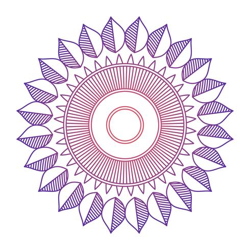 Mandala ornament vector image