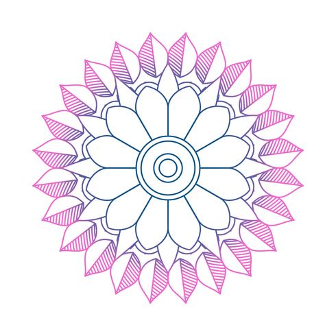 Mandala ornamento vector de la imagen