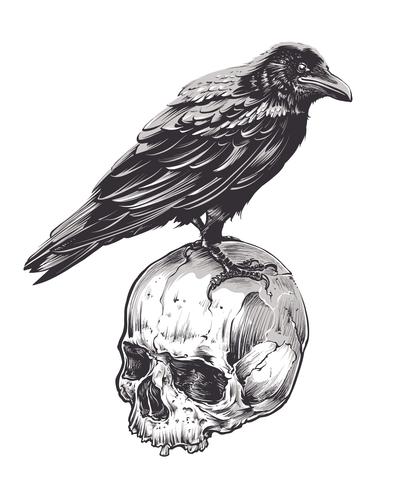 Crow on Skull vector