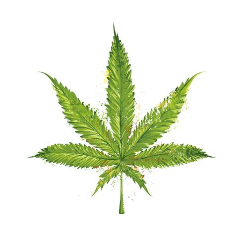 Hoja de marihuana vector