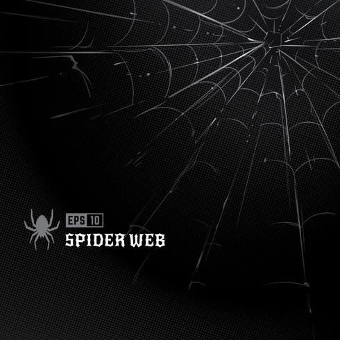 Vector Spider Web en Negro