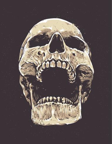 Anatomic Grunge Skull vector