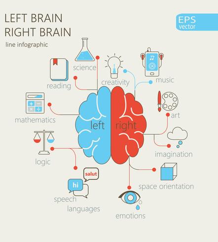 Left and right brain concept. vector