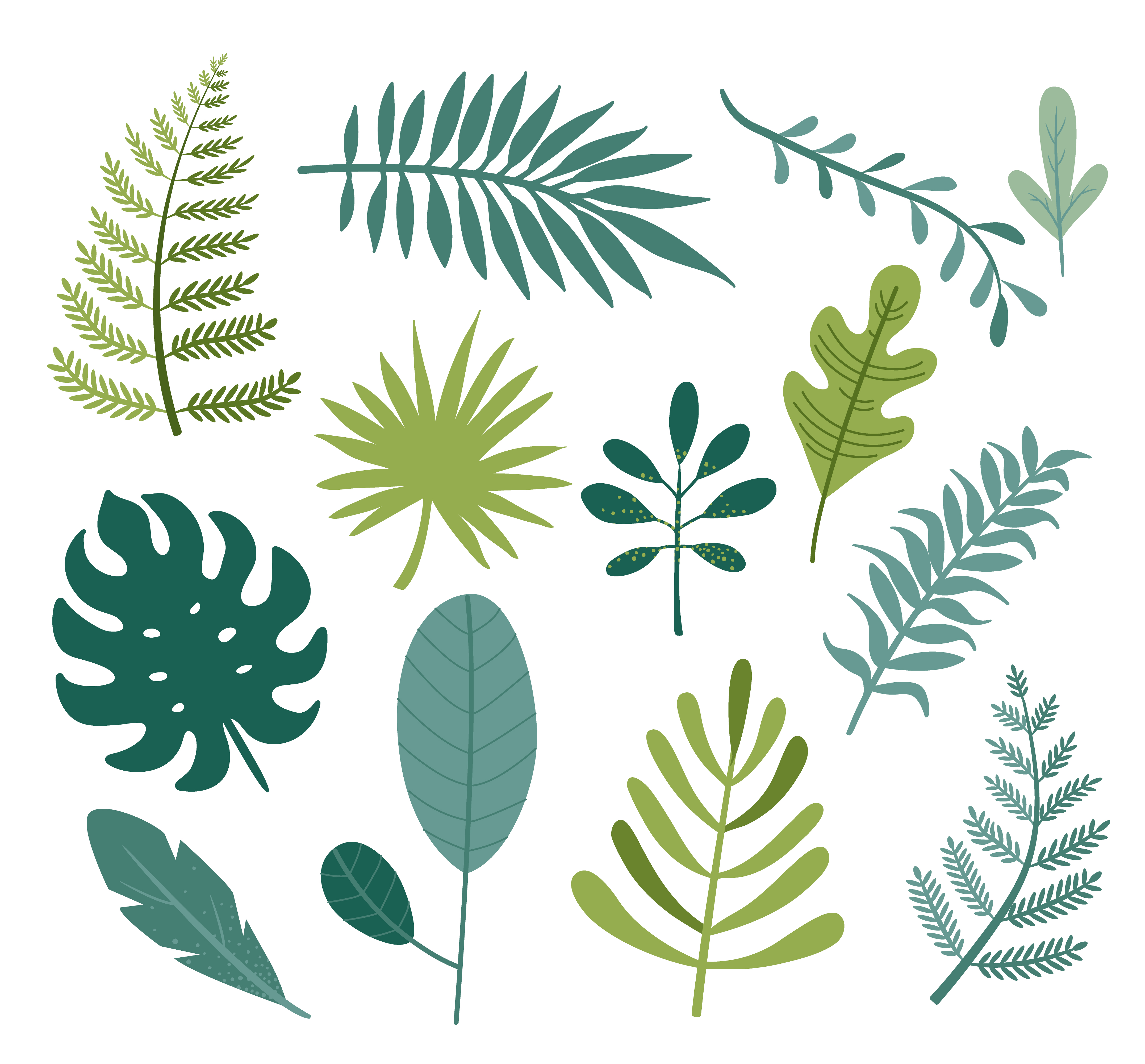 Set of different tropical and other isolated leaves. - Download Free