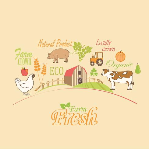 Organic and farm, vector concept.