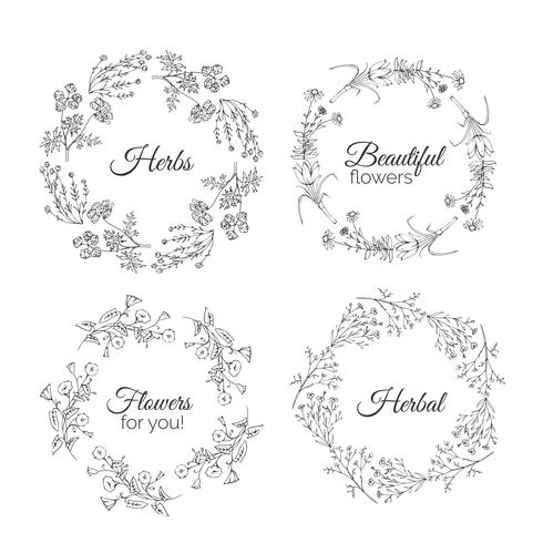 Herbs Illustration. Floral frames. vector