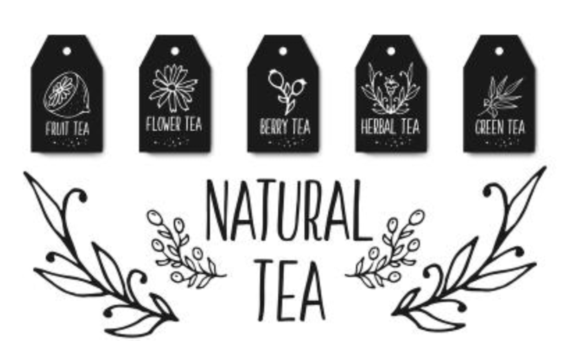 Herbal tea tags collection. Organic herbs and wild flowers. Hand sketched fruits berries illustration.