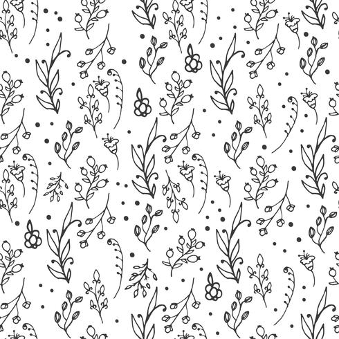 Patrón floral sin fisuras Estampado de hierbas y flores silvestres. vector