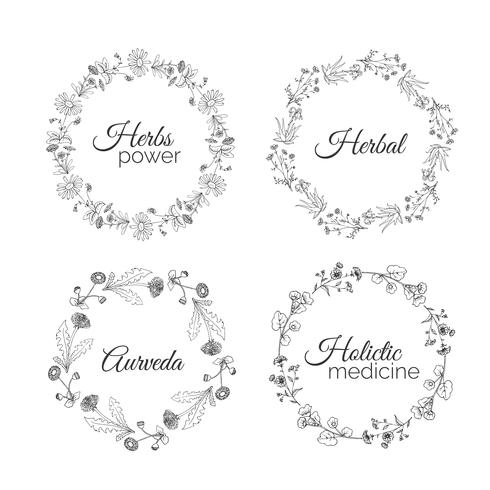 Herbs Illustration. Floral frames. vector