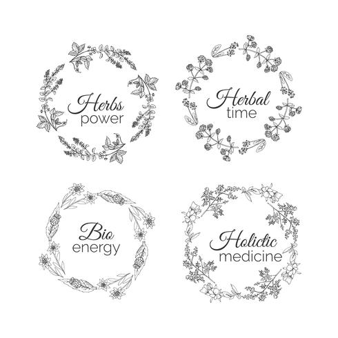 Herbs Illustration. Floral frames.