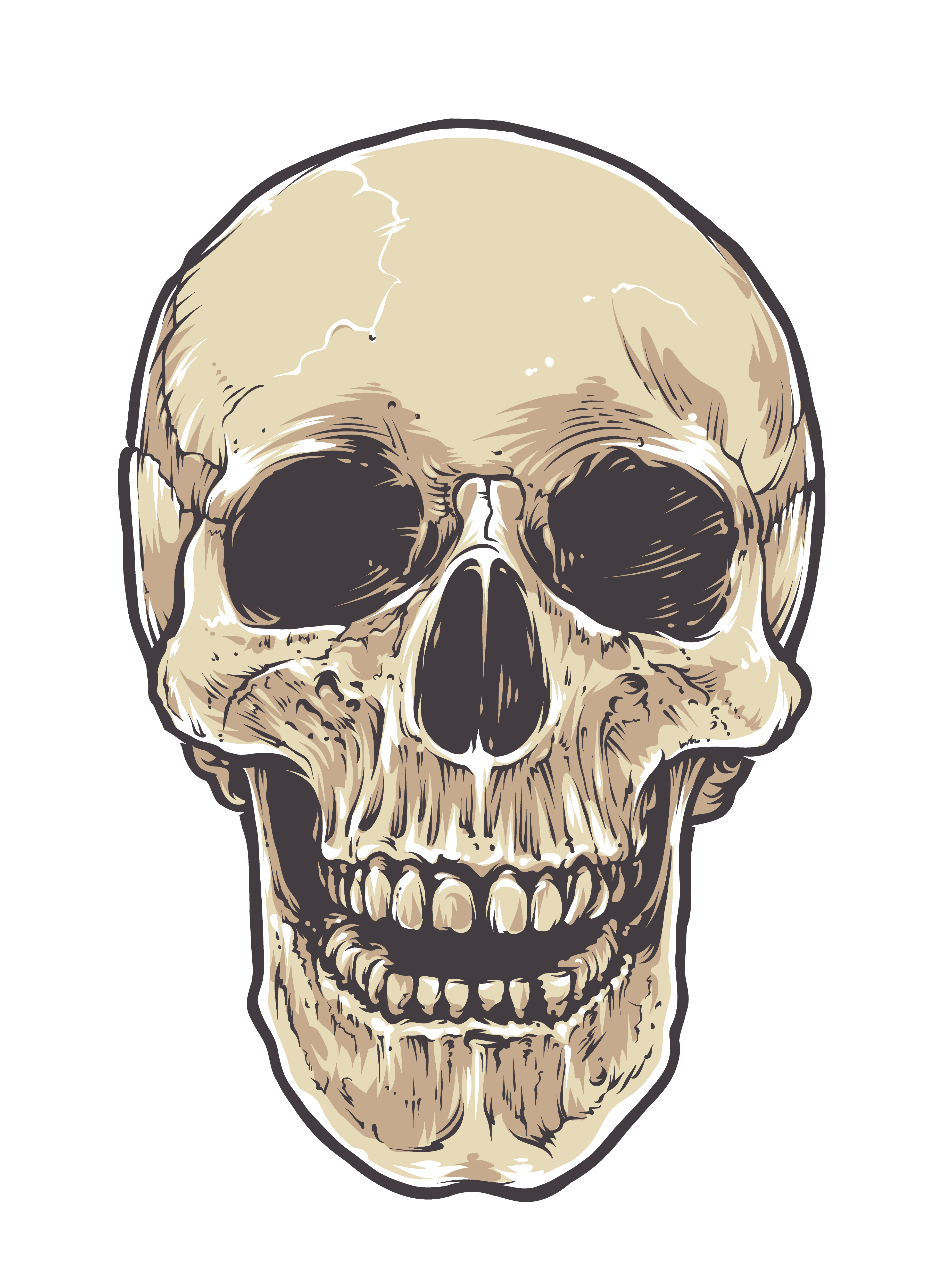 Anatomic Grunge Skull 333880 Vector Art At Vecteezy