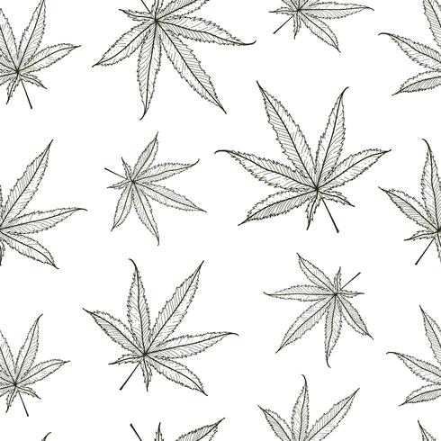 Ganja Leaves Seamless vector