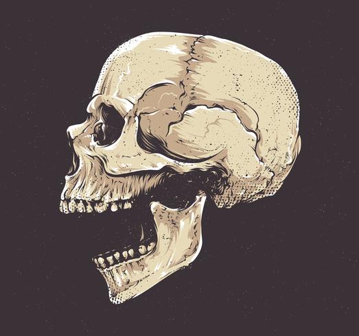 Anatomic Grunge Skull vector