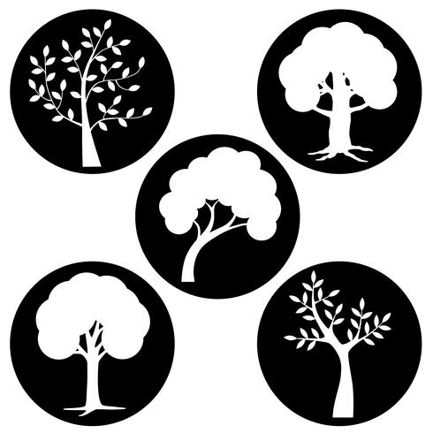 white tree silhouettes in black circles	 vector