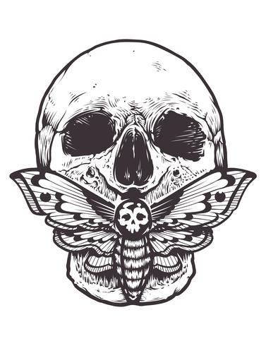 Skull with Moth Vector 