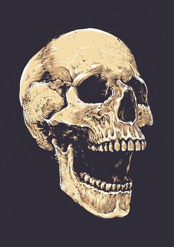 Anatomic Grunge Skull vector