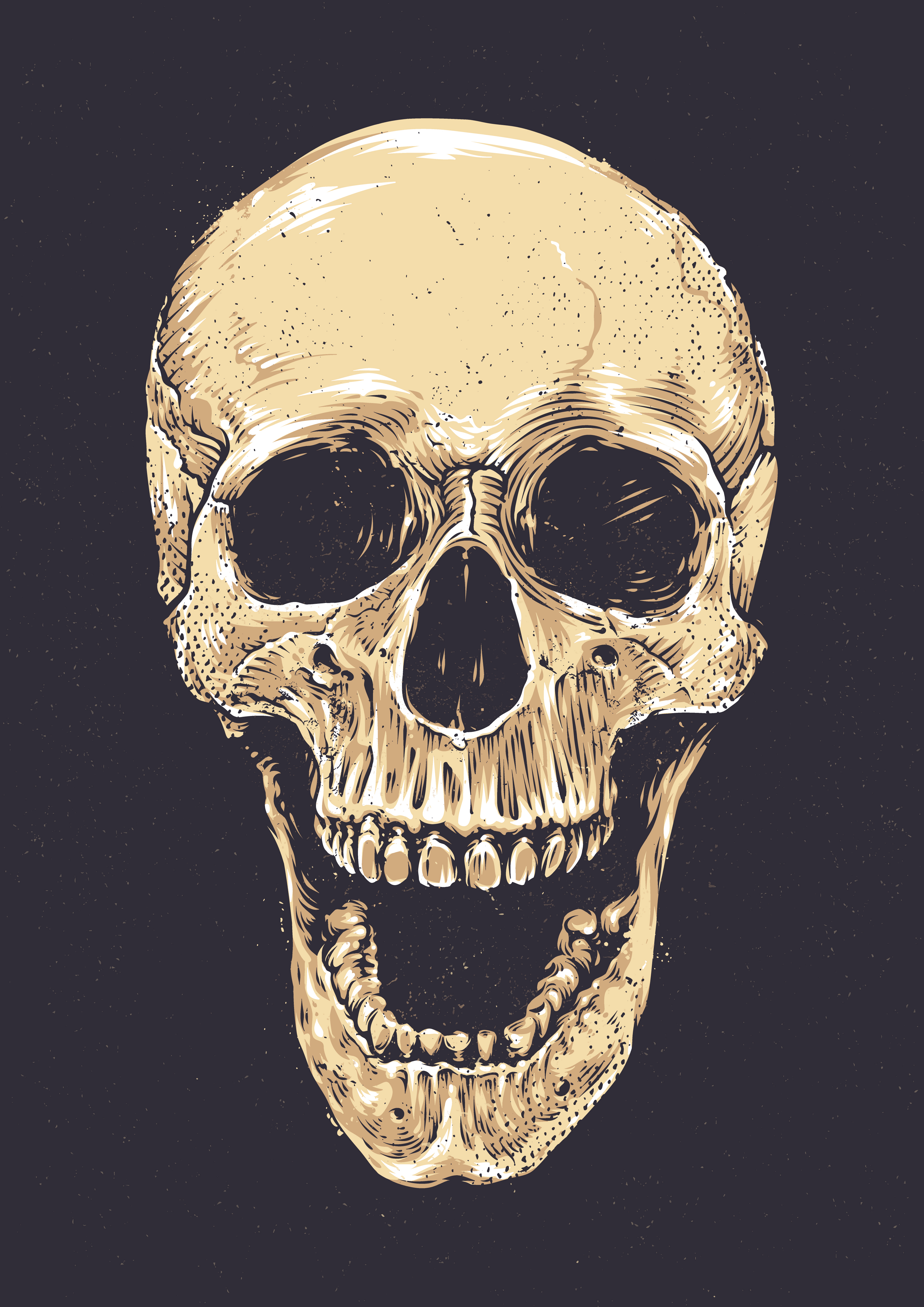 Anatomic Grunge Skull 335153 Vector Art at Vecteezy