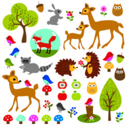  woodland wildlife clipart vector