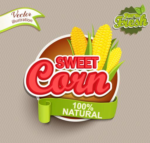 Sweet corn  vector