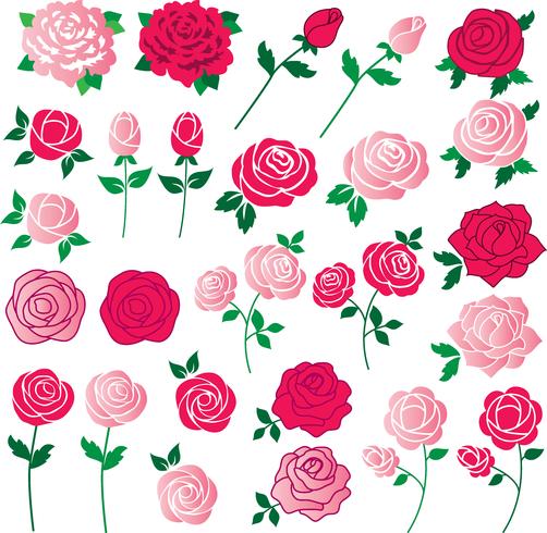  rose clipart	 vector
