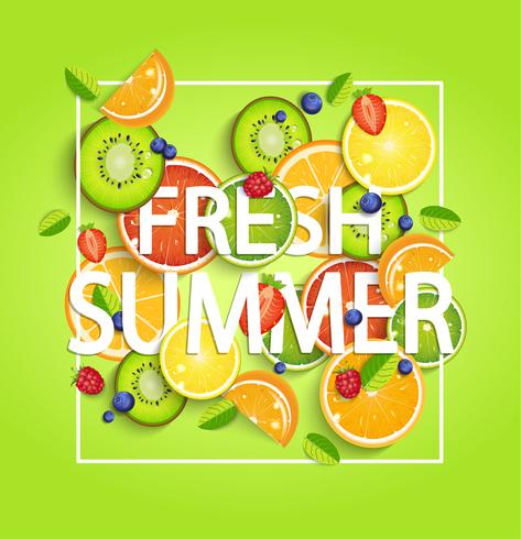 Summer background with fruits. vector