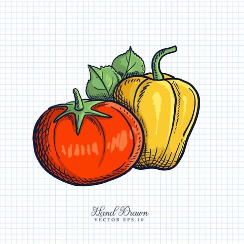 Dibujados a mano ilustración de frutas y verduras vector