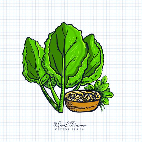 Dibujados a mano ilustración de frutas y verduras vector