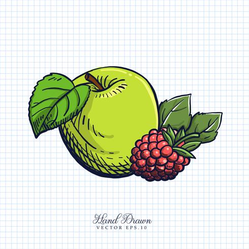 Dibujados a mano ilustración de frutas y verduras vector