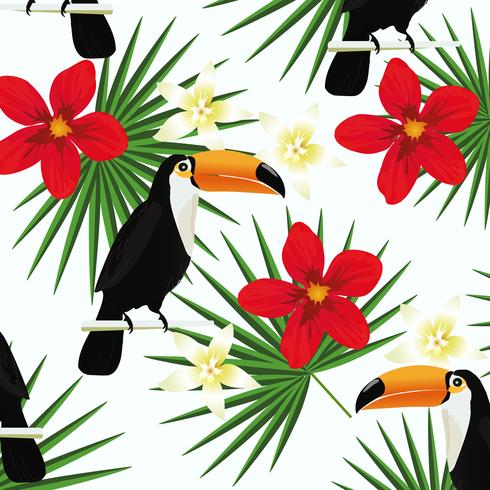 Fondo tropical con tucanes y hojas tropicales. vector