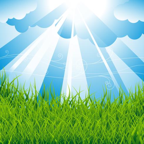 Spring background with green field and blue sky. vector