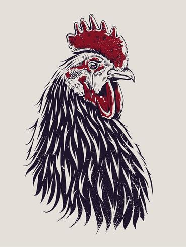 Vector Rooster Illustration